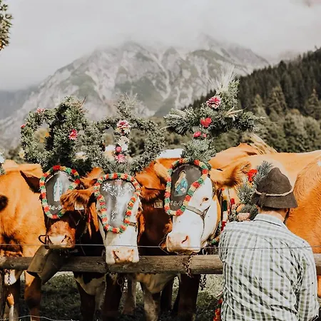 Chesa Montana Affittacamere Maria Alm am Steinernen Meer