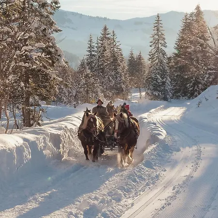 Chesa Montana