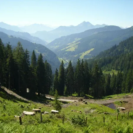 Chesa Montana Guest house