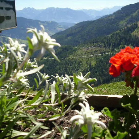 Casa de hóspedes Chesa Montana 3*