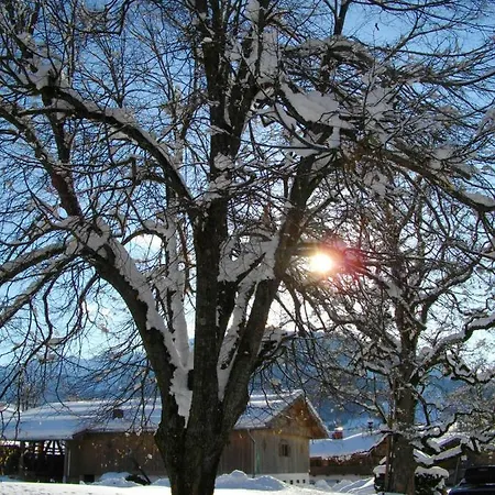 Chesa Montana Guest house
