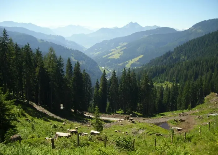 Chesa Montana Affittacamere