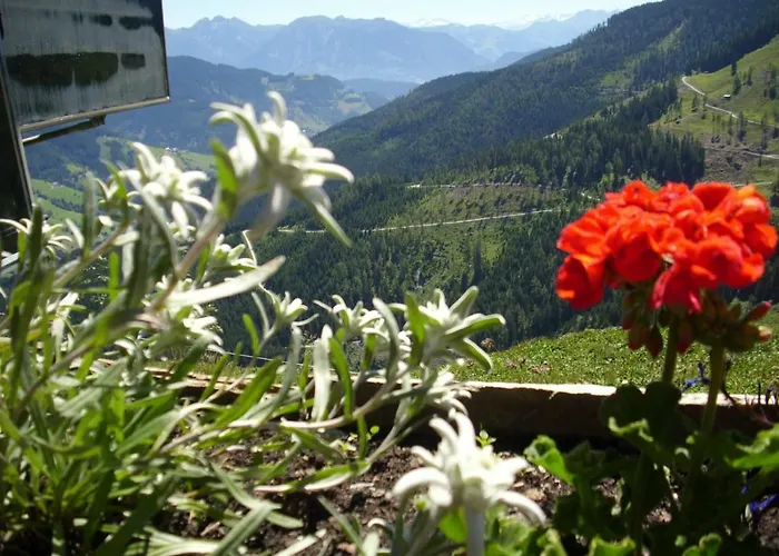 Affittacamere Chesa Montana 3*