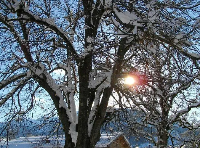 Chesa Montana Affittacamere